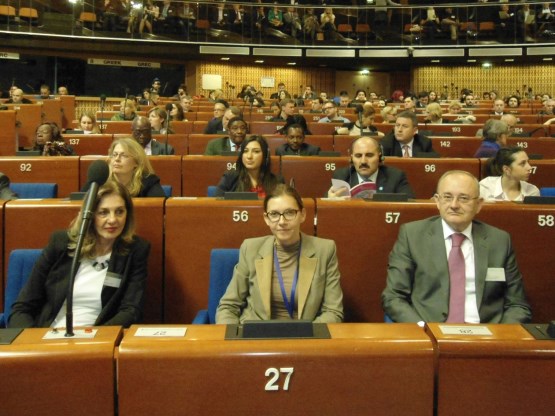 Predsjedavajući Predstavničkog doma PSBiH dr. Božo Ljubić učestvuje na Svjetskom forumu demokratije u Strazburu